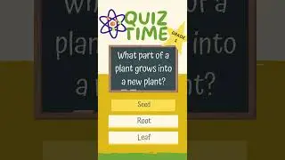 🦘🔬 Grade 1 Science Quiz 10 | The Mega Science Discovery Challenge! 🌞✨ #scienceforkids #quiz #grade1