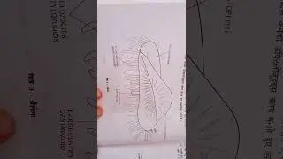 coelenterata/phylum-coelenterata Taxonomy/classification of coele. #pooja kumawat#
