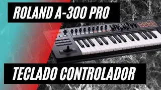 ROLAND A-300 PRO - Teclado controlador Midi da Roland, serie A 300, 500, 800 Pro