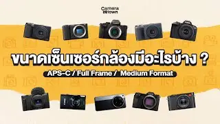 ขนาดเซ็นเซอร์กล้องมีอะไรบ้าง ? |  APS-C vs Full Frame vs Medium Format ต่างกันยังไง ?