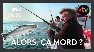 J'ai testé la pêche de loisir sur un bateau