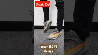 Adidas Yeezy 350 V2 BELUGA #onfeet #shorts #sneakers #fyp #foryou #adidas #yeezy #kanyewest #beluga
