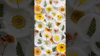 Pressed Flower Wax Seals. Yes or no!? Shop wax seal making supplies at bgoodslettering.com 🫶🏼🤍