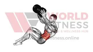 Dumbbell Straight Arm Twisting Sit up Demo