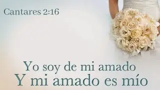 Yo te Amo - Armando Gonzalez