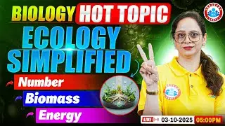 Ecology Simplified | Pyramids of Number, Biomass & Energy | Class 12 Biology | UP Board RWA