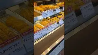 deep fried goodies in japan 🍤 #katsu #tonkatsu #japan #deepfried #porkcutlet