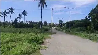 30 acers land for sale in  Bidaraguppe Village,   Sarjapura - Attibele Road, for 6.50 cr 7411451119