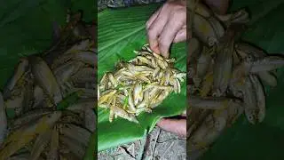 Small Fish Recipe // village style🤤 Pat Poda #shortvideo