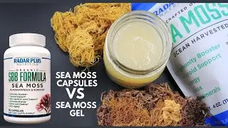 SEA MOSS CAPSULES VS SEA MOSS GEL | WHICH IS BETTER FOR BEGINNERS?