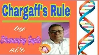 Chargaff's Rule for Board & NEET exam part - 1