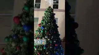 St. Cloud Tree Lighting Ceremony