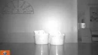 Easter Bunny Hidden Camera - Caught on tape, REAL!