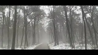 Wandeling naar Emmerhout en weer terug naar Angelslo