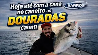 Hoje até com a cana no caneiro as DOURADAS caiam.