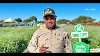 AG Croppers, com suas culturas de cobertura, chamou a aten&ccedil;&atilde;o no Cana Show-IAC 2025