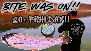 Quail Creek Reservoir! Can't Believe How Good The Bite Was This Day!