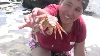 Un Dia En La Playa- Cocina Con Mamila