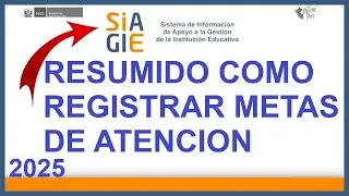 COMO REGISTRAR METAS DE ATENCION 2025