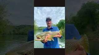 Tennessee Brown ⛰️🧈#thegreattroutdoors #flyfishing #viral #fyp #browntrout