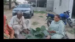 teak leaves 🍃 સાગના પાનમાંથી પતરાળાં #homemadedish #dishofleaves #familystarvlogsgujarati 