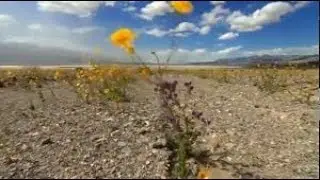 National Geographic Death Valley (Nature Documentary)