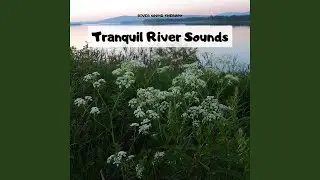 Countryside Stream