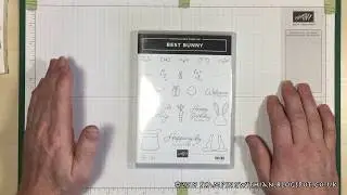Bonus Video! Bunny Builder Punch Tip