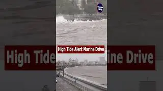 High Tide Alert Marine Drive