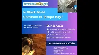 Black Mold Inspection-Testing Temple Terrace FL 813-358-4766 TampaBayMold.net #blackmold