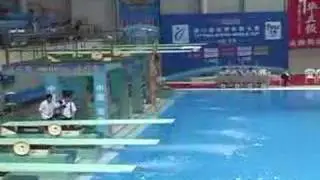 2006 world cup chong he 107b 1m