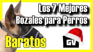 🔥 Los 7 MEJORES Bozales para Perros BUENOS y BARATOS de Amazon [2025]✅[Calidad/Precio] Grandes