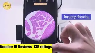 4  Of The Best Microscope Lens Adapters You Can Buy On Amazon