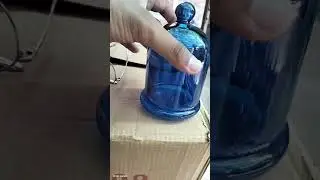 Glass Bell Jar | Available on IndiaMART