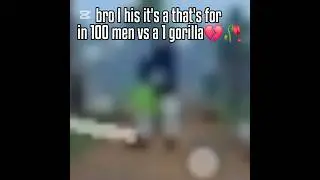 I think just that's it to them and with 100 men vs a 1 gorilla💔🥀 #gorebox #memes