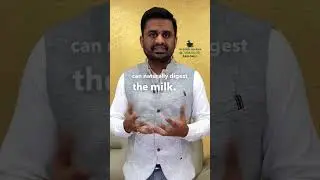 How to Restore Strength and Digest Milk Without Sacrificing Calcium! #ayurevda #dr #ayurvedic