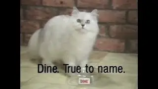 1984 Dine cat food Australian retro ad