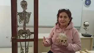 Prof.Dr. Ayla Sevim Erol: Antropologların &Ccedil;alışma Alanlarından Birisi 