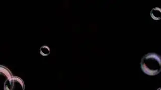 MAE  GATA   PAI GATO