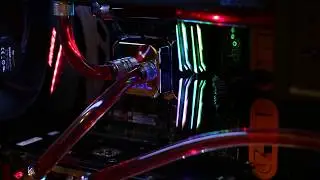 Team Group Night Hawk RGB - In action