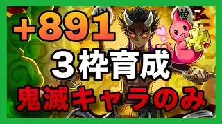 【周回】限界突破コロシアム～新規勢・復帰勢向け～【パズドラ】