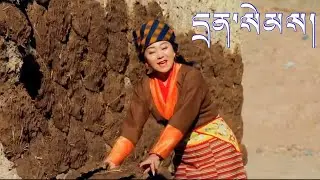 New Tibetan song/ དྲན་སེམས། 想念. by Tenzin wangmo བསྟན་འཛིན་དབང་མོ།