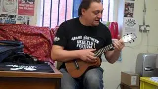 Wedge body tenor ukulele