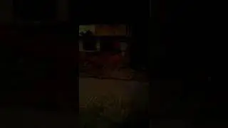 Insane diwali experiment with shot buried upside down