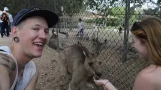 AUSSIE HOLIDAY