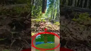 Only in Minec&hellip; oh wait 😳🌳 #minecraft #gaming #memes