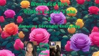 ✨ Lilly Reads: Wounded Not Broken Mini Sampler &ndash; Take 2 ✨