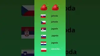 DIFFERENT 😎😎🤩#yourlanguage #slaviclanguages  #slavicfamily #jahoda #jazyky #polyglots #ffypシ #viral