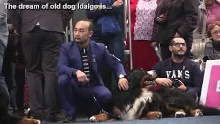 WDS 2017 ch 1