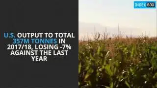 Global Corn Market